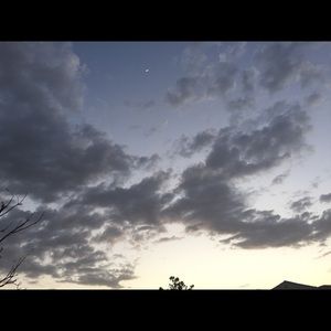 Meet your Posher, Dora